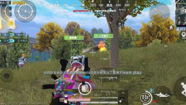 和平精英「小提琴」直装辅助