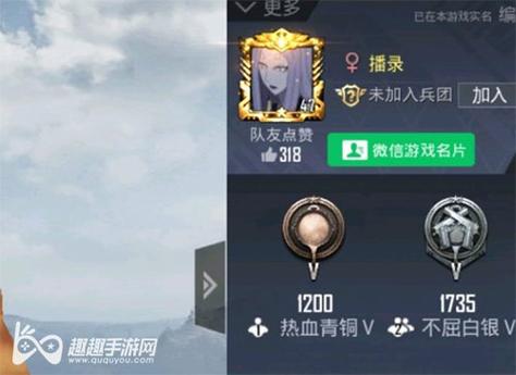 和平精英透视自瞄锁头